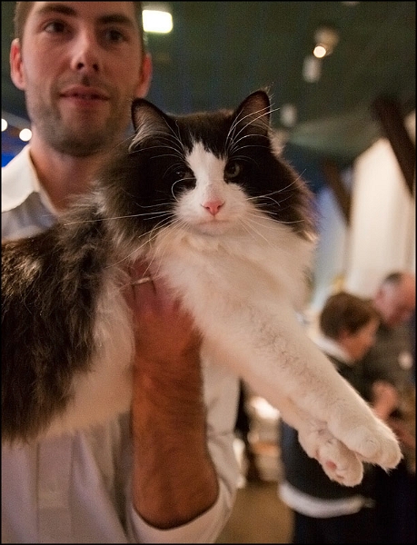 Ellboy du Soleil de Minuit 1.jpg - Ellboy du Soleil de Minuit